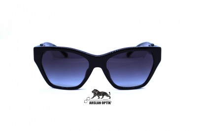 EMPORIO ARMANI EA 4203U 5017/8G 55 EMPORIO ARMANI EA 4203U 5017/8G 55