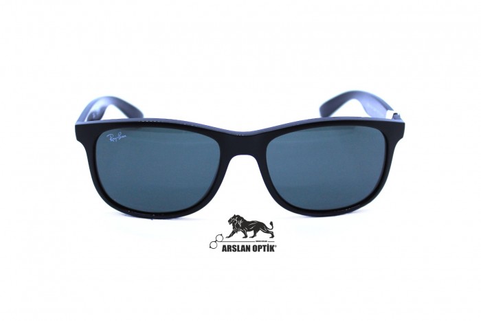 RAYBAN RB 4202 ANDY 6069/71 55