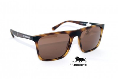 EMPORIO ARMANI EA 4097 5089/73 56 EMPORIO ARMANI EA 4097 5089/73 56