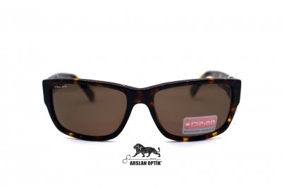 POLAR SILVER STAR 2 COL.01 POLAR SILVER STAR 2 COL.01