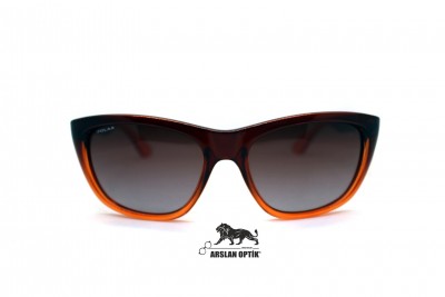 POLAR 321 COL 08 POLAR 321 COL 08
