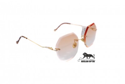 DEXTER 7971 TURUNCU BİZOTE DEXTER 7971 TURUNCU BİZOTE