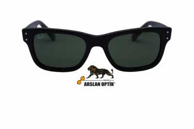 RAYBAN RB 7683 S 901/31 55