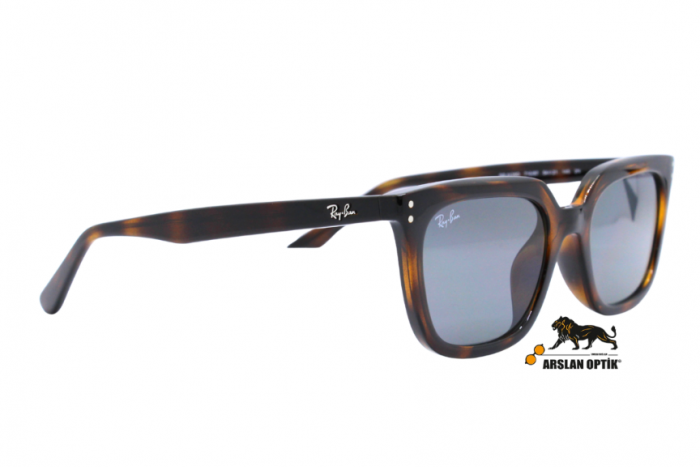 RAYBAN RB 4439D 710/87 54