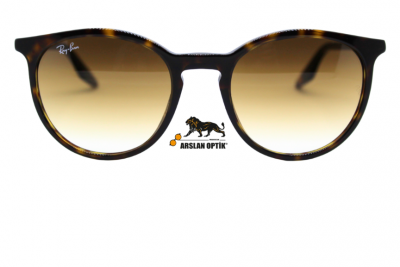 RAYBAN RB 2204 902/51 54