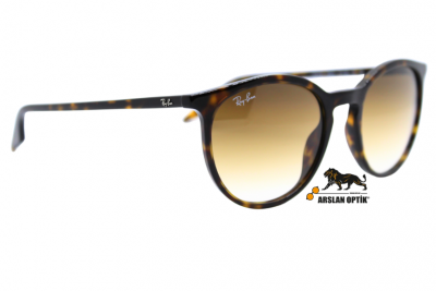 RAYBAN RB 2204 902/51 54