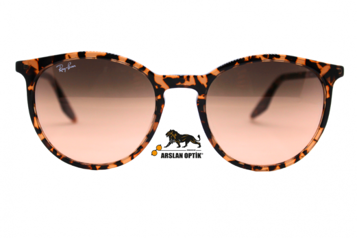 RAYBAN RB 2204 1429/3B 54