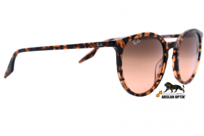 RAYBAN RB 2204 1429/3B 54