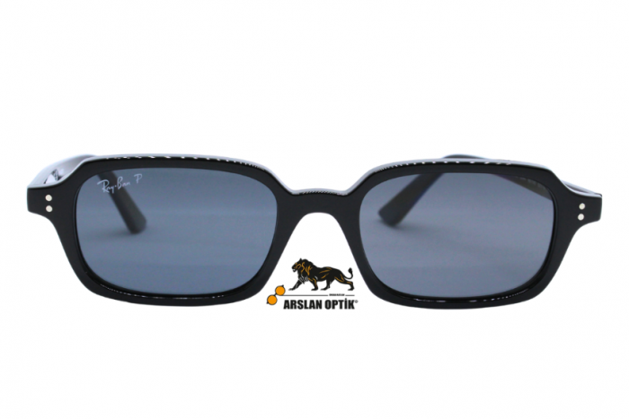 RAYBAN RB 4455 6677/81 52