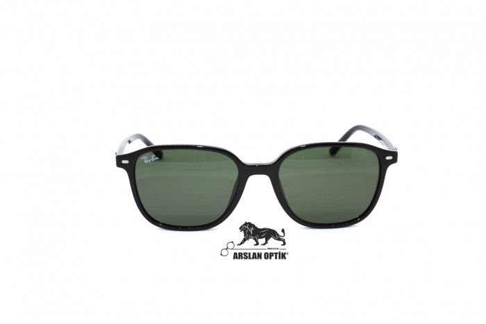 RAYBAN RB 2193 LEONARD 901/31 53